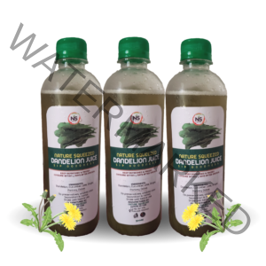 Dandelion Juice